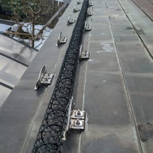 スーパーリング（落雪防止装置）　新潟市江南区